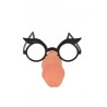 Lunettes pénis