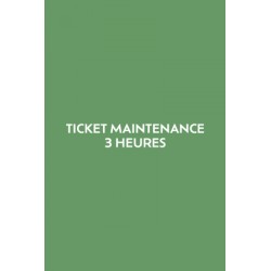 Ticket 3 heures de maintenance
