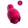 Vibro Oral Fun Licking Tongue - You2Toys