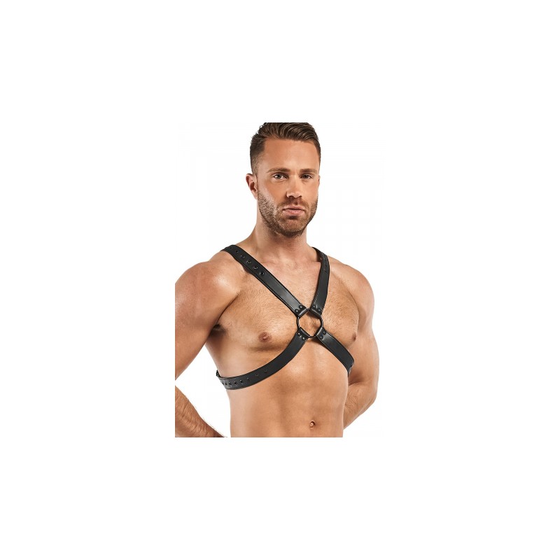Harnais de bondage Lionel - Bedroom Fantasies