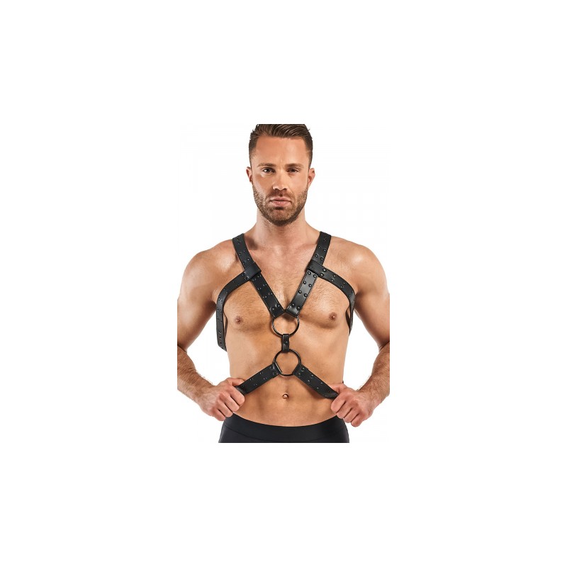 Harnais de bondage Rocco - Bedroom Fantasies