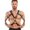 Harnais de bondage Rocco - Bedroom Fantasies